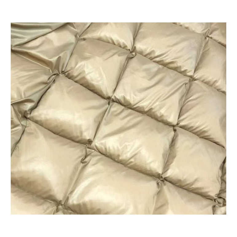 Moncler Glossy Black Long Down Puffer Coat with Gold Lining