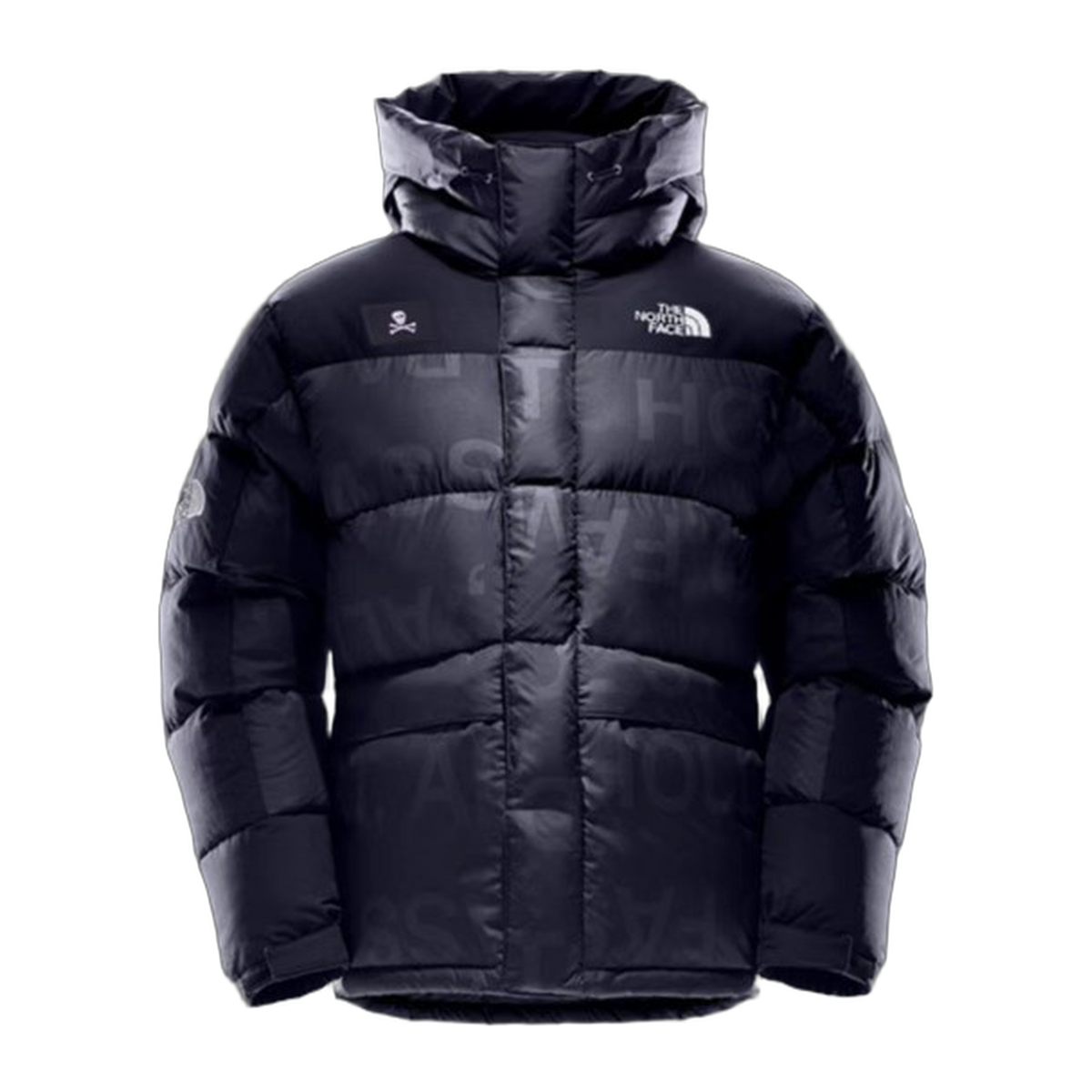 The North Face Urban Exploration UE Down Parka | Style 5J27