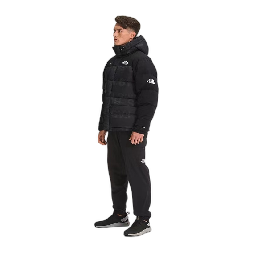 The North Face Urban Exploration UE Down Parka | Style 5J27